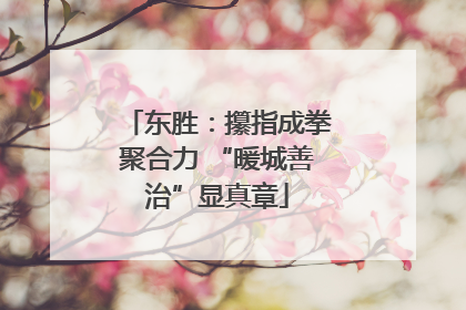 东胜：攥指成拳聚合力 “暖城善治”显真章